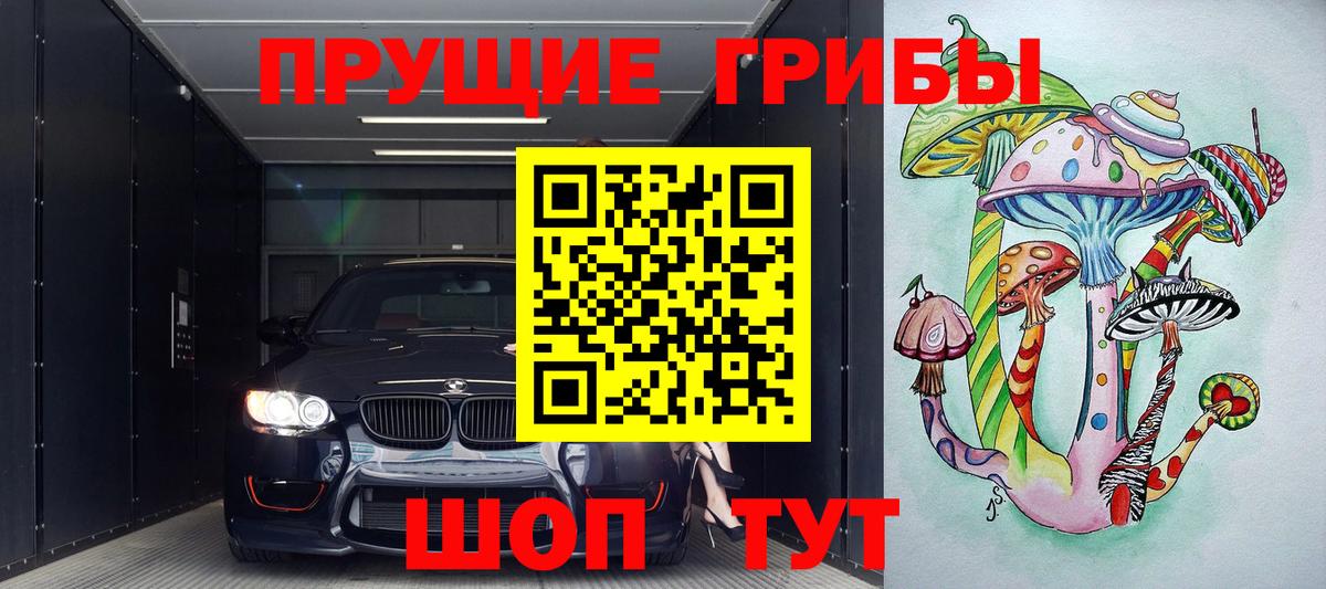 Серов  Псилоцибиновые грибы Psilocybe  Вход с VPN 