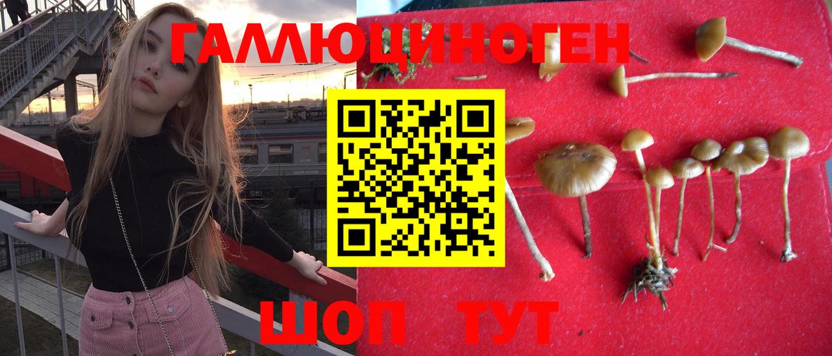 Галлюциногенные грибы Psilocybe Серов